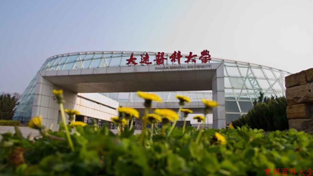 大连医科大学近三年在四川录取分数线(含2021-2023最低分)