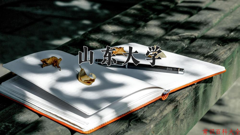 山东大学全国排名和最强专业解析