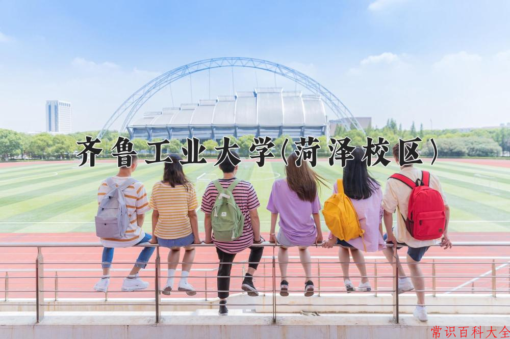 2024齐鲁工业大学(菏泽校区)录取分数线：山东最低489分