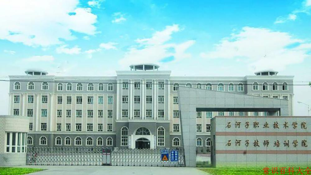 2024新疆石河子职业技术学院录取分数线及位次一览：四川考生2025填报参考