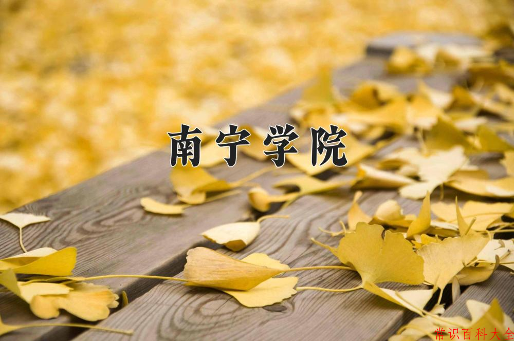 2024南宁学院录取分数线及位次一览：重庆考生2025填报参考