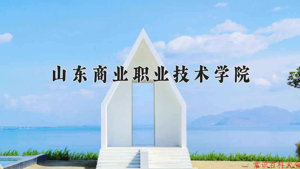 2024山东商业职业技术学院录取分数线：山东最低310分