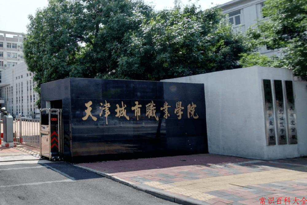 2024天津城市职业学院录取分数线：山东最低433分