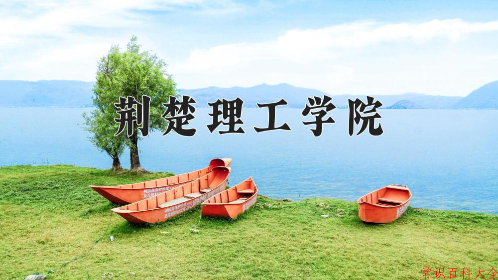 2024荆楚理工学院录取分数线及位次一览：重庆考生2025填报参考