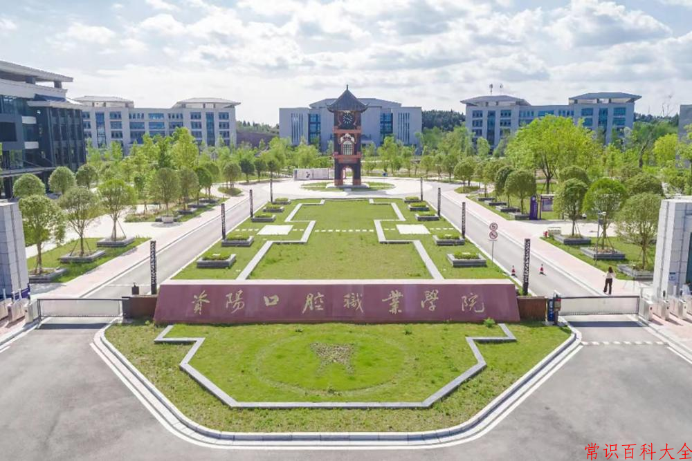 2024年资阳口腔职业学院在青海计划招生人数（附学费及专业录取分)