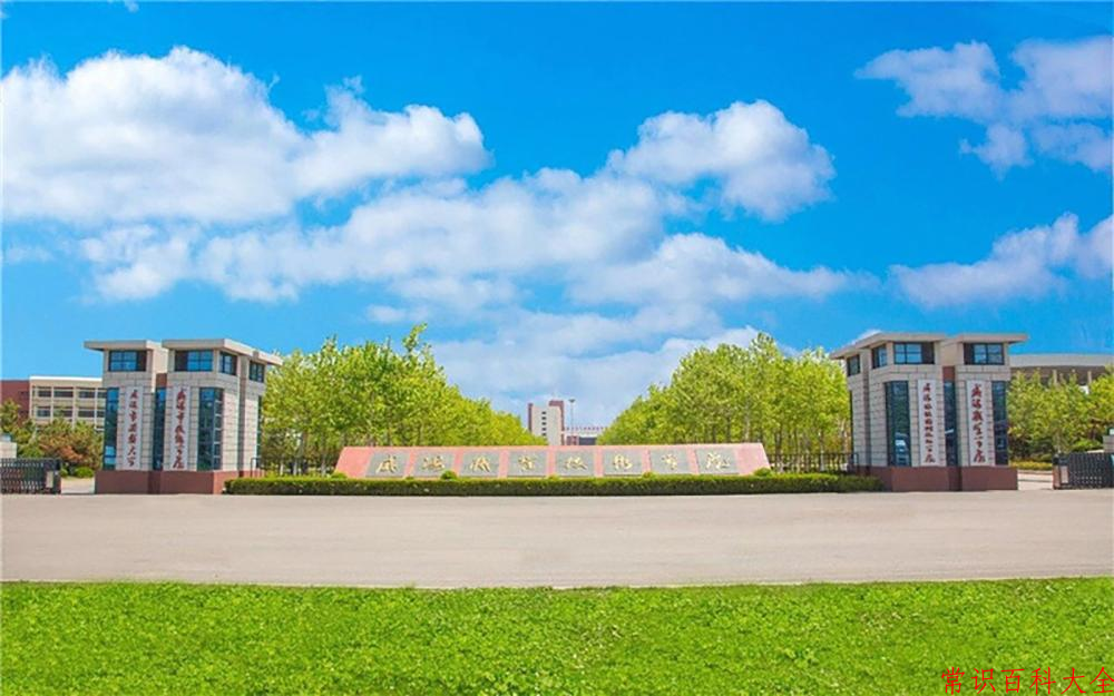 2024威海职业学院录取分数线：山东最低317分