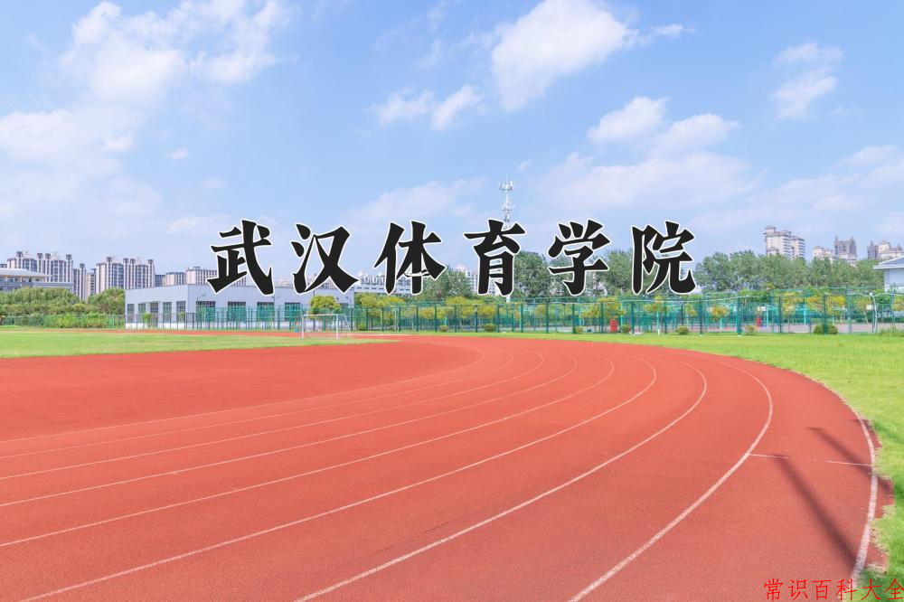 2024武汉体育学院录取分数线：浙江最低540分