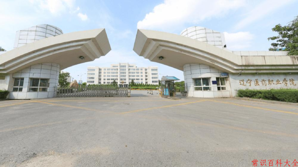 辽宁考生多少分能上辽宁医药职业学院？2025最低324分