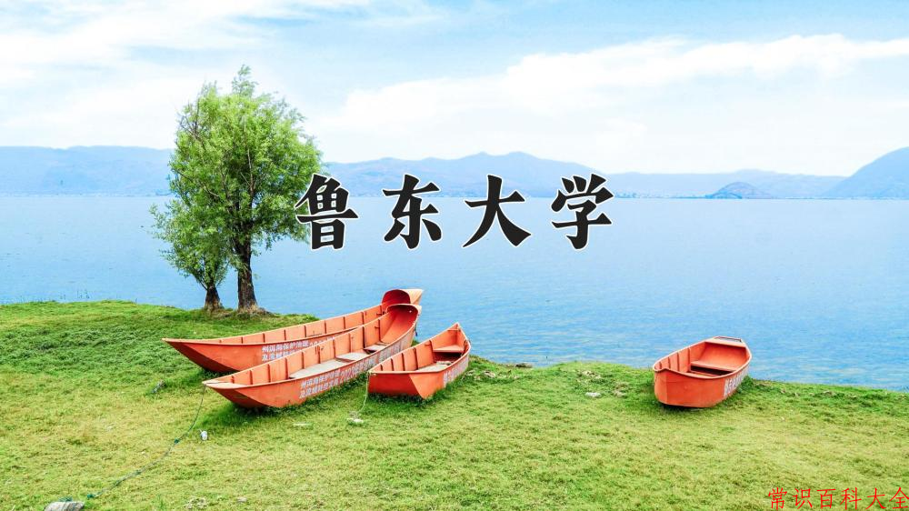 2024年鲁东大学在山西计划招生人数（附学费及专业录取分)