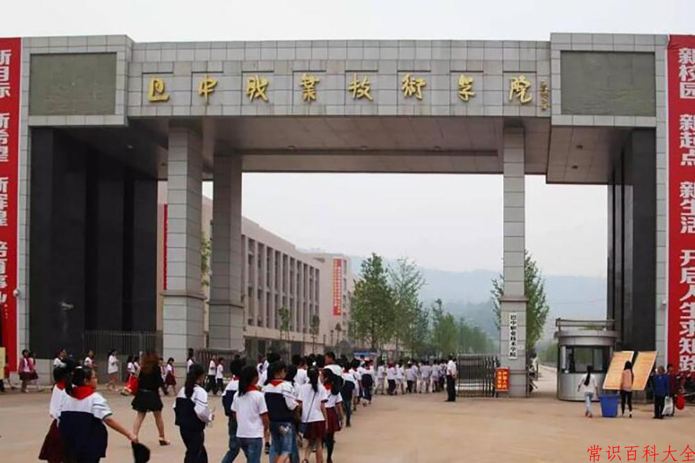 2024巴中职业技术学院录取分数线及位次一览：重庆考生2025填报参考