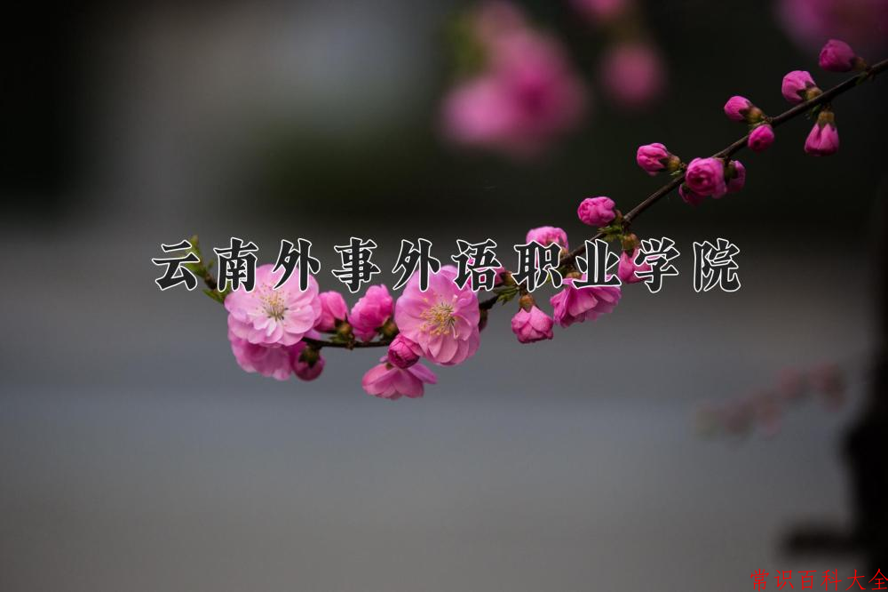 云南外事外语职业学院近三年在云南录取分数线(含2021-2023最低分)