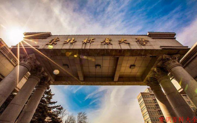 云南565分能上什么大学？附2025年可以报考的大学名单