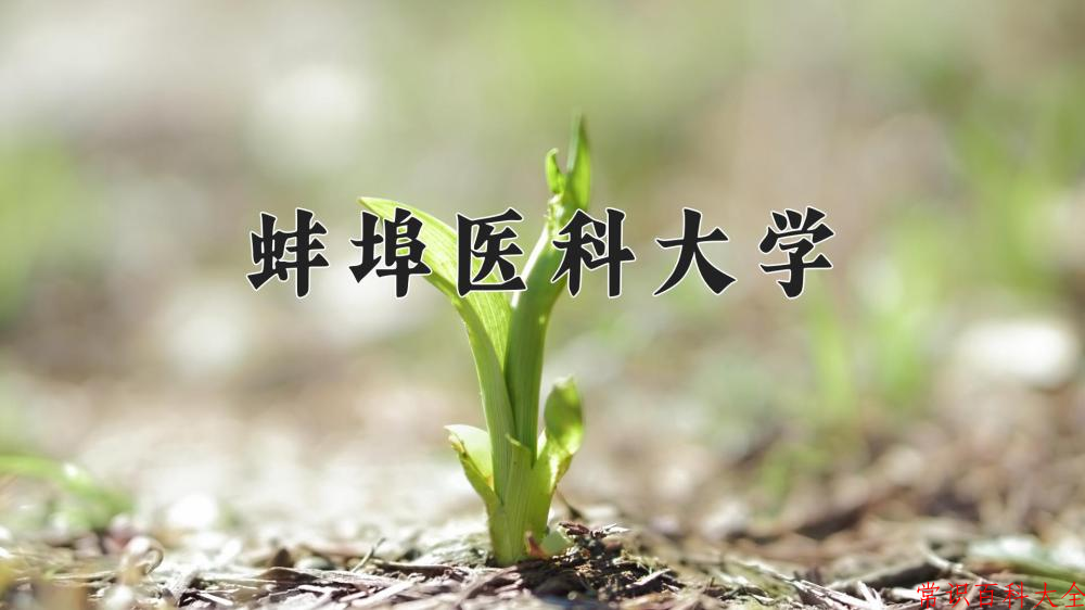 蚌埠医科大学近三年在四川录取分数线(含2021-2023最低分)