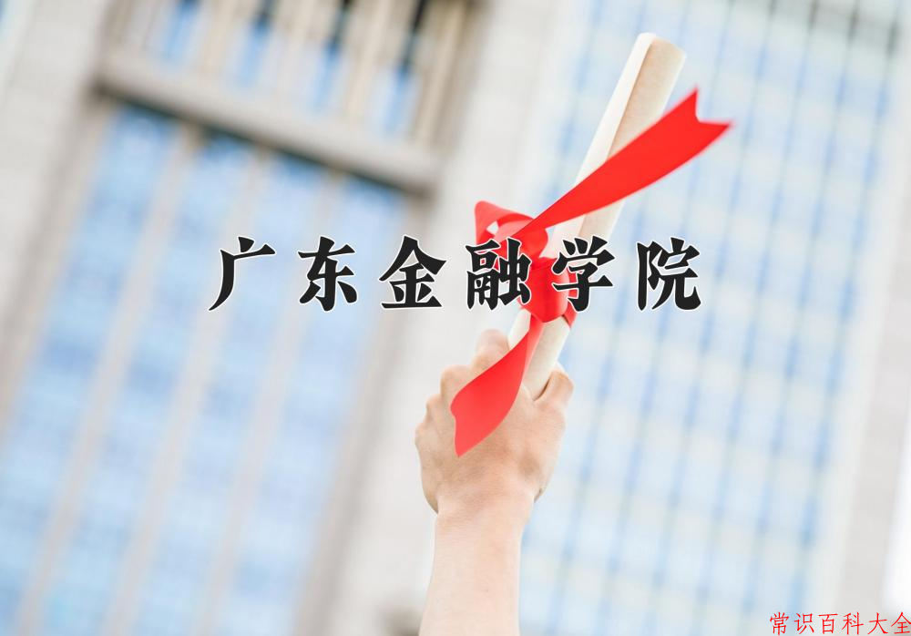 2024广东金融学院录取分数线及位次一览：重庆考生2025填报参考