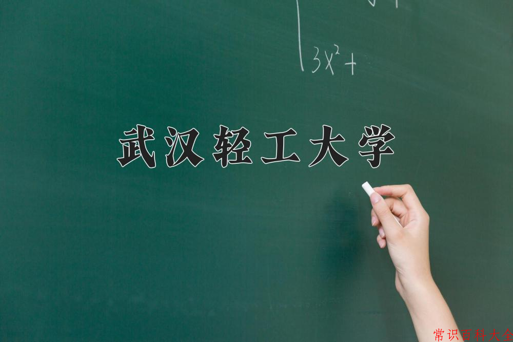 2024武汉轻工大学录取分数线及位次一览：重庆考生2025填报参考