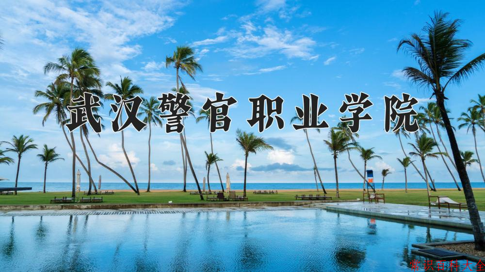 2024年武汉警官职业学院在青海计划招生人数（附学费及专业录取分)