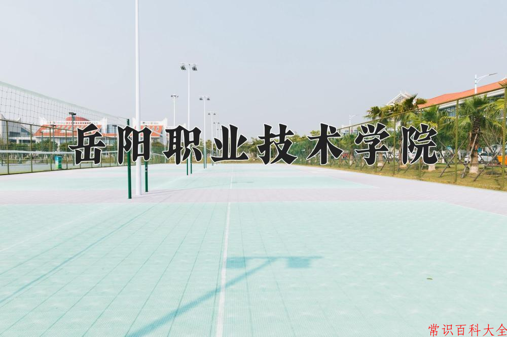 2024岳阳职业技术学院录取分数线及位次一览：四川考生2025填报参考