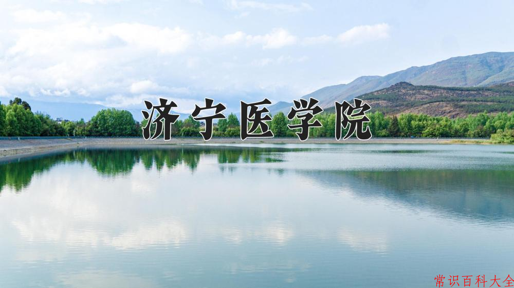 2024济宁医学院录取分数线及位次一览：重庆考生2025填报参考