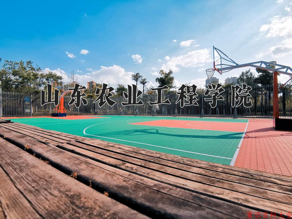 2024山东农业工程学院录取分数线及位次一览：重庆考生2025填报参考