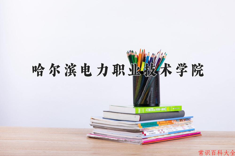 2024哈尔滨电力职业技术学院录取分数线：山东最低441分
