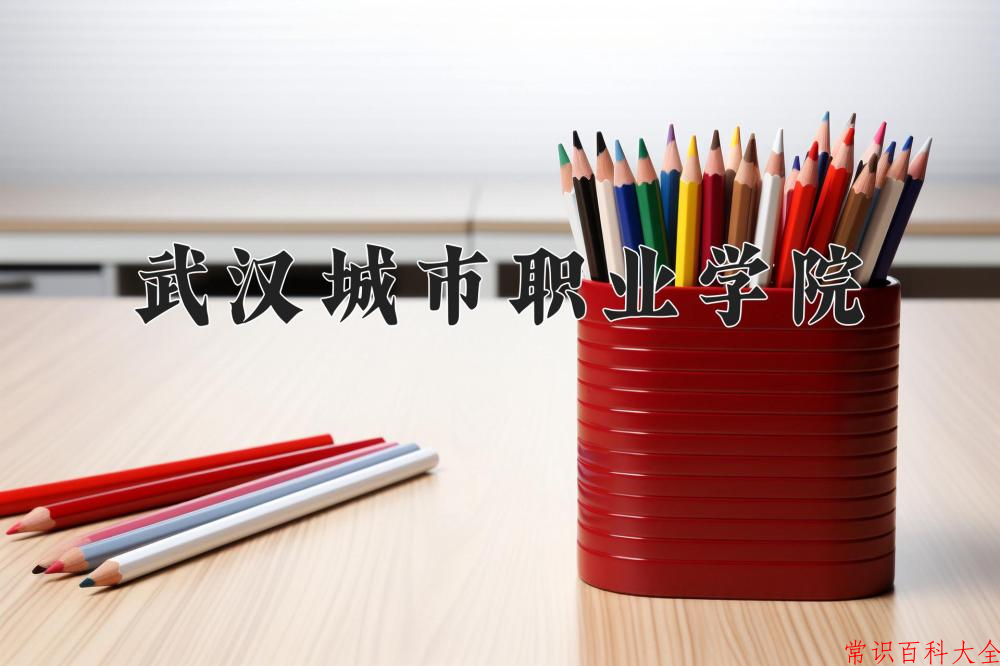 2024武汉城市职业学院录取分数线及位次一览：四川考生2025填报参考