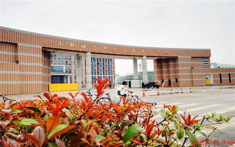 2024上饶幼儿师范高等专科学校录取分数线及位次一览：四川考生2025填报参考