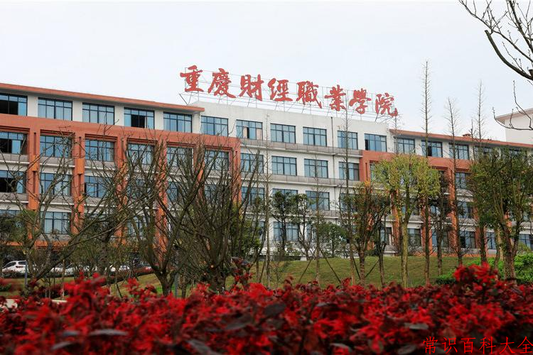 2024重庆财经学院录取分数线及位次一览：重庆考生2025填报参考