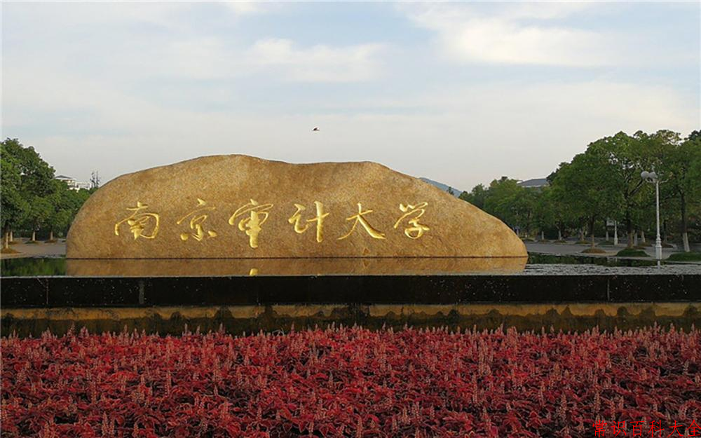 2024南京审计大学录取分数线及位次一览：重庆考生2025填报参考