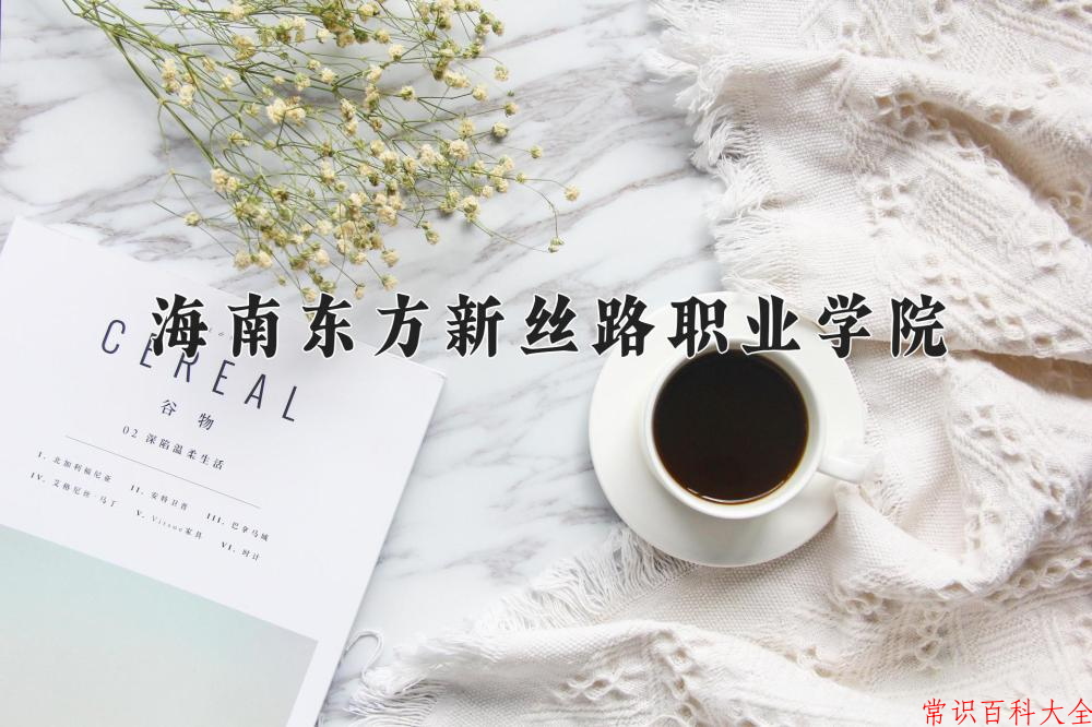 2024海南东方新丝路职业学院录取分数线及位次一览：四川考生2025填报参考