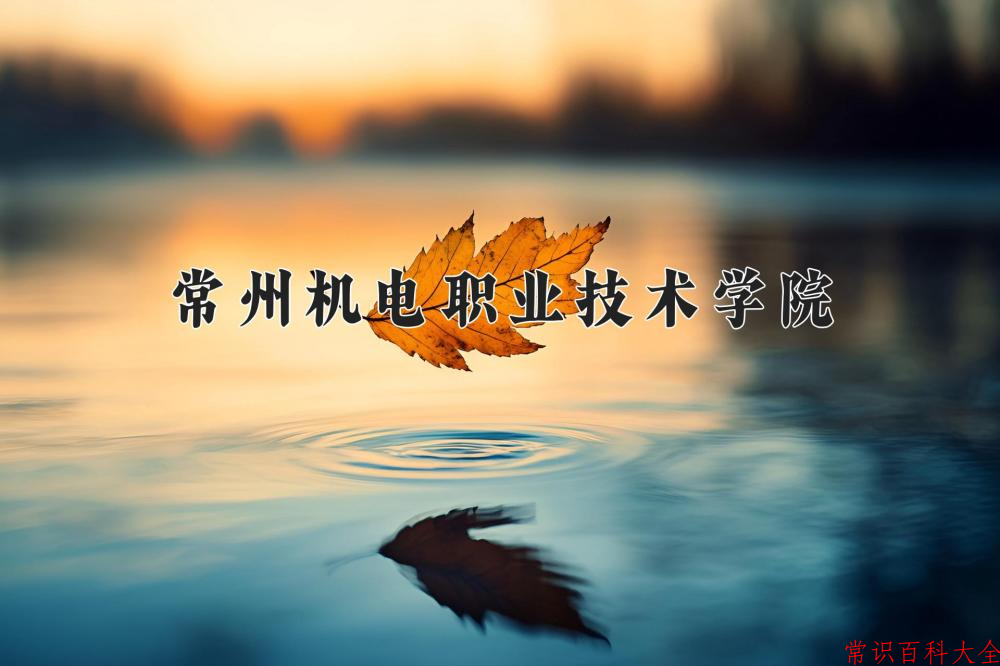 2024常州机电职业技术学院录取分数线：山东最低424分