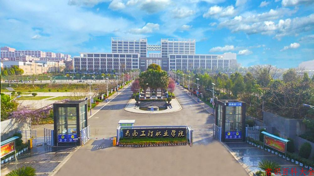 2024云南工程职业学院录取分数线及位次一览：四川考生2025填报参考