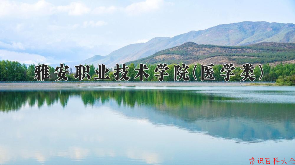 2024雅安职业技术学院(医学类)录取分数线及位次一览：四川考生2025填报参考