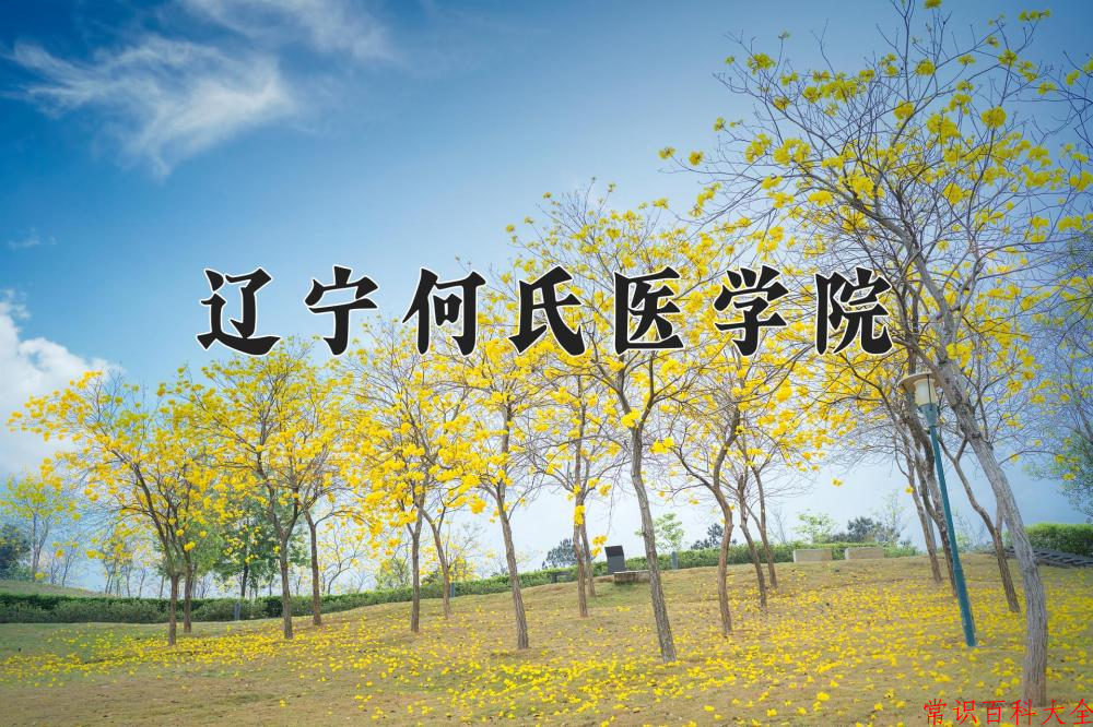 2024年辽宁何氏医学院在山西计划招生人数（附学费及专业录取分)