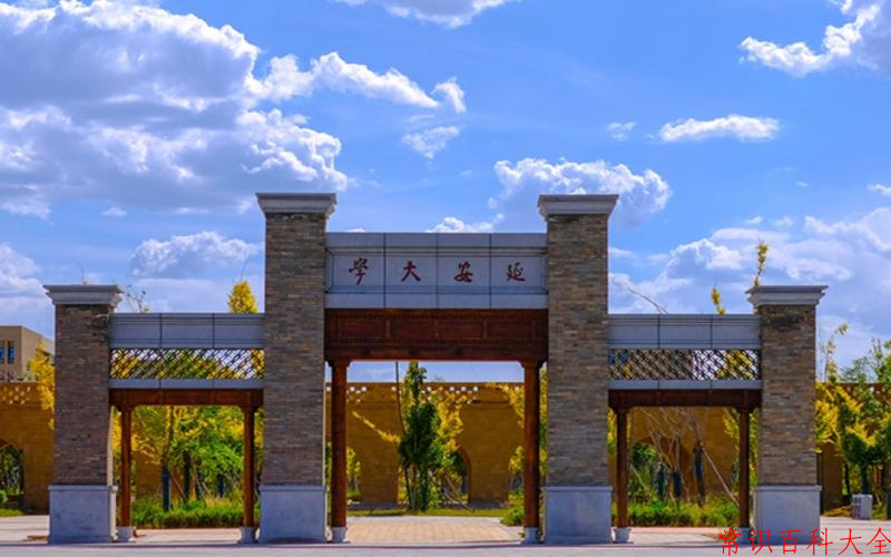 2024年延安大学在广东计划招生人数（附学费及专业录取分）