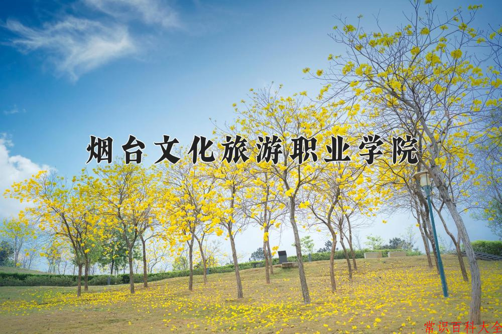 2024烟台文化旅游职业学院录取分数线：山东最低315分