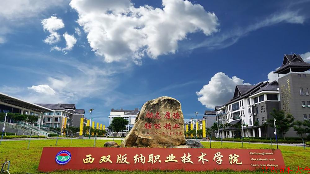 2024西双版纳职业技术学院录取分数线及位次一览：四川考生2025填报参考