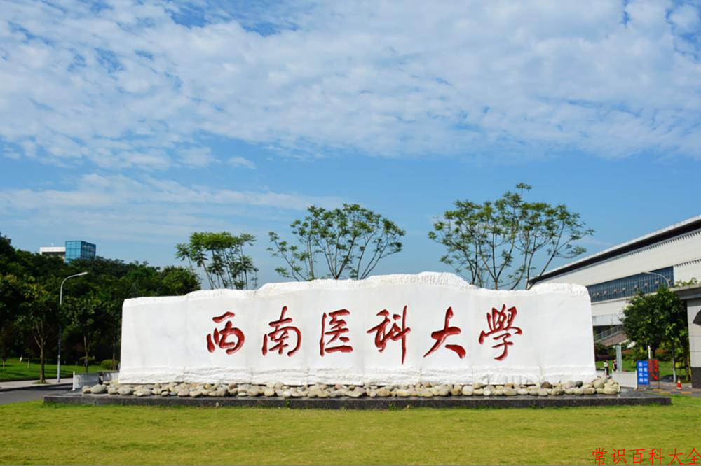 西南医科大学最厉害的专业-2024西南医科大学最好专业