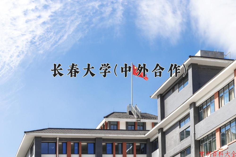 2024长春大学(中外合作)录取分数线及位次一览：四川考生2025填报参考