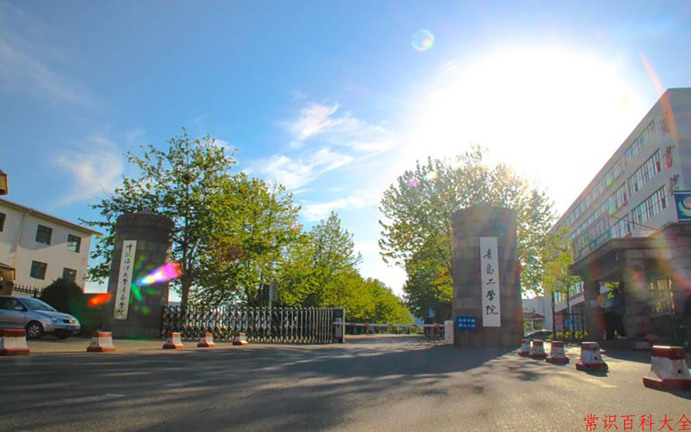 2024年青岛工学院在青海计划招生人数（附学费及专业录取分)