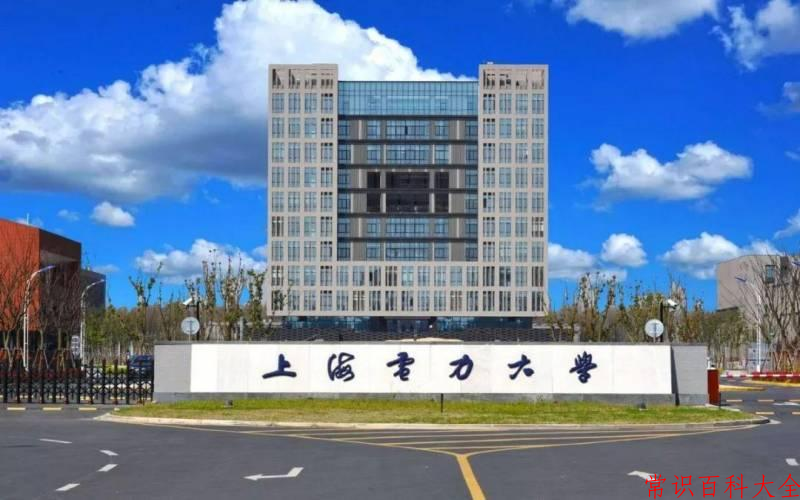 2024上海电力大学录取分数线及位次一览：重庆考生2025填报参考