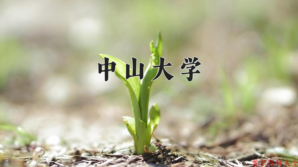 2024年中山大学在青海计划招生人数（附学费及专业录取分)