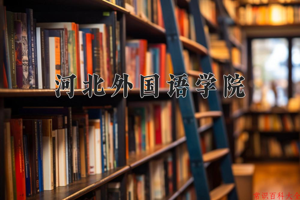 2024河北外国语学院录取分数线及位次一览：重庆考生2025填报参考