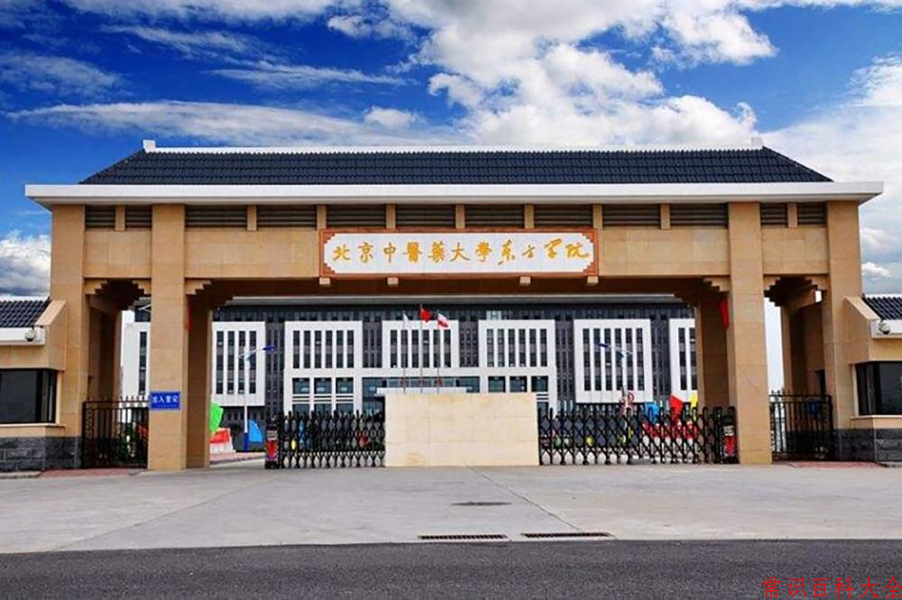 2024北京中医药大学东方学院录取分数线及位次一览：重庆考生2025填报参考