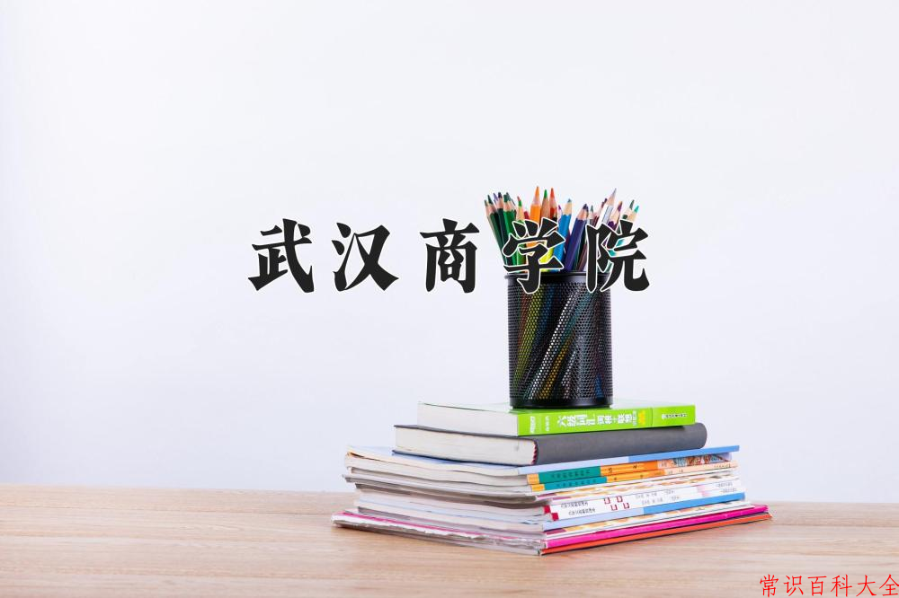 武汉商学院近三年在四川录取分数线(含2021-2023最低分)