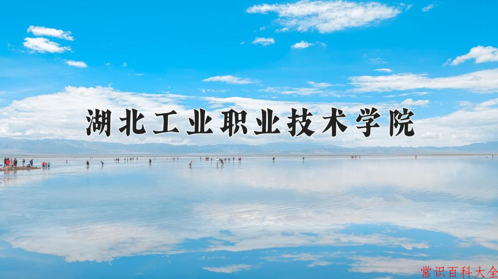 2024湖北工业职业技术学院录取分数线及位次一览：四川考生2025填报参考