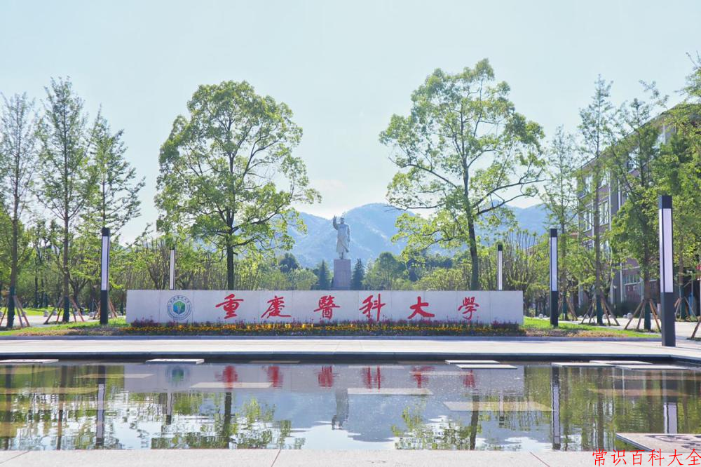 2024重庆医科大学录取分数线及位次一览：重庆考生2025填报参考