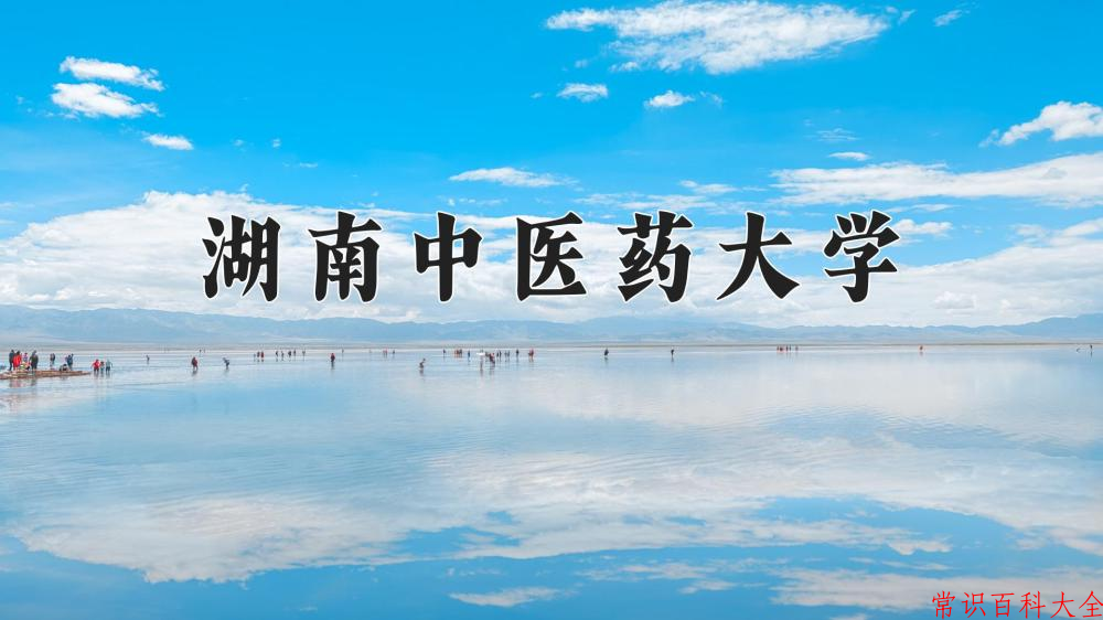 2024湖南中医药大学录取分数线及位次一览：重庆考生2025填报参考