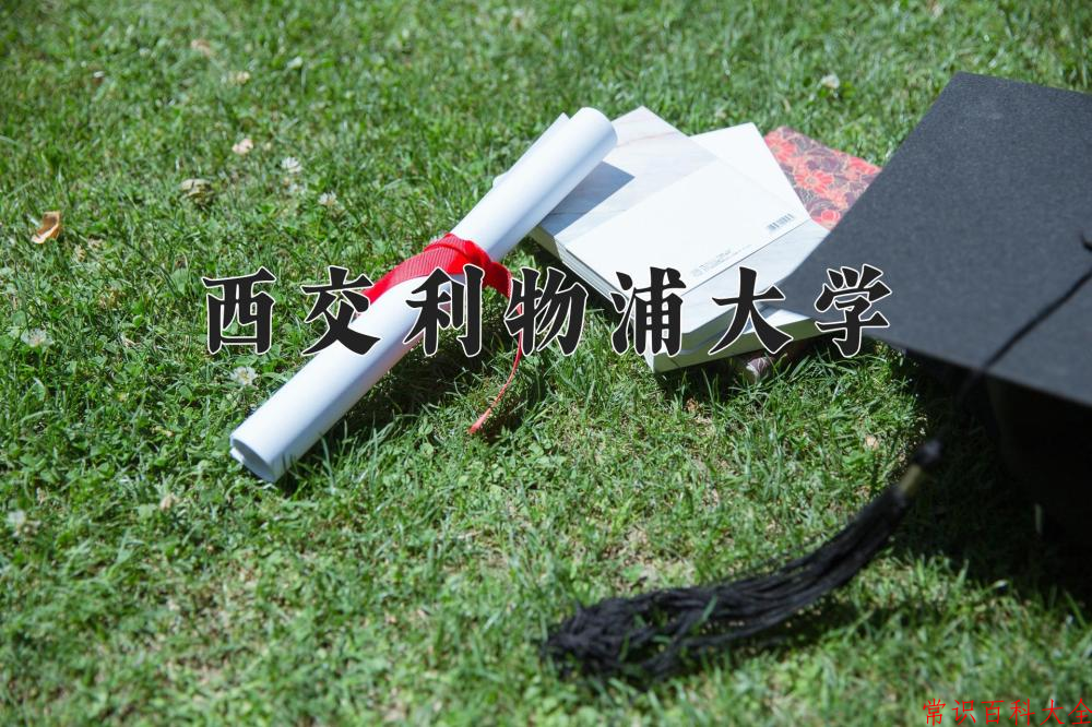 云南561分能上哪所学校？附2025年可以报考的大学名单