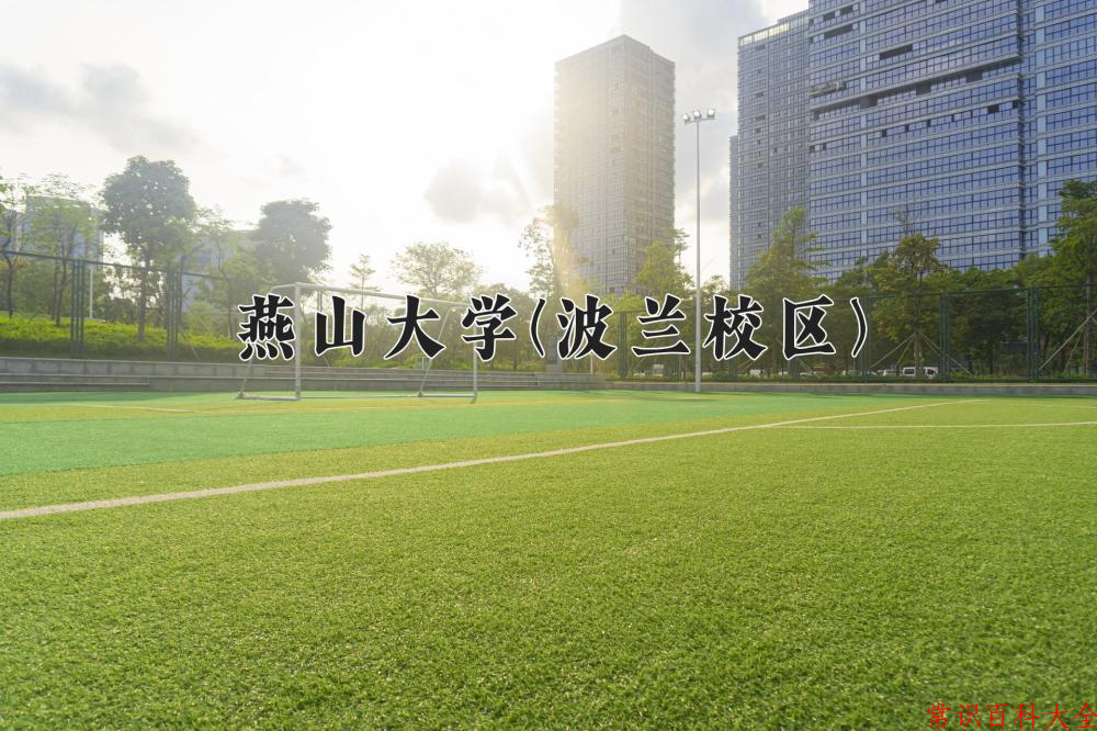 2024燕山大学(波兰校区)录取分数线及位次一览：四川考生2025填报参考