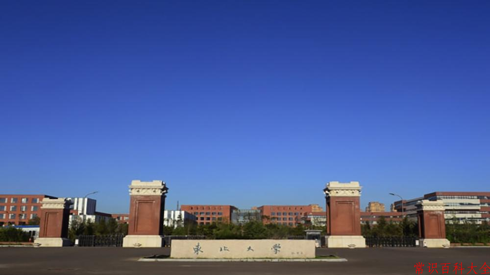 2024东北大学录取分数线及位次一览：重庆考生2025填报参考